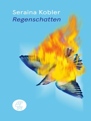 cover image of Regenschatten